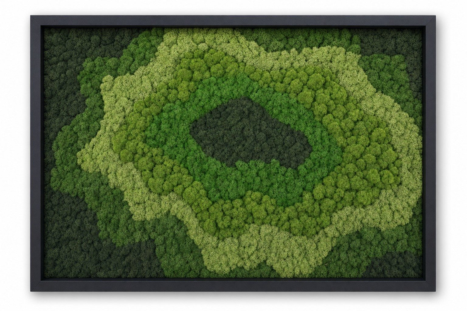 Ascent No. 4