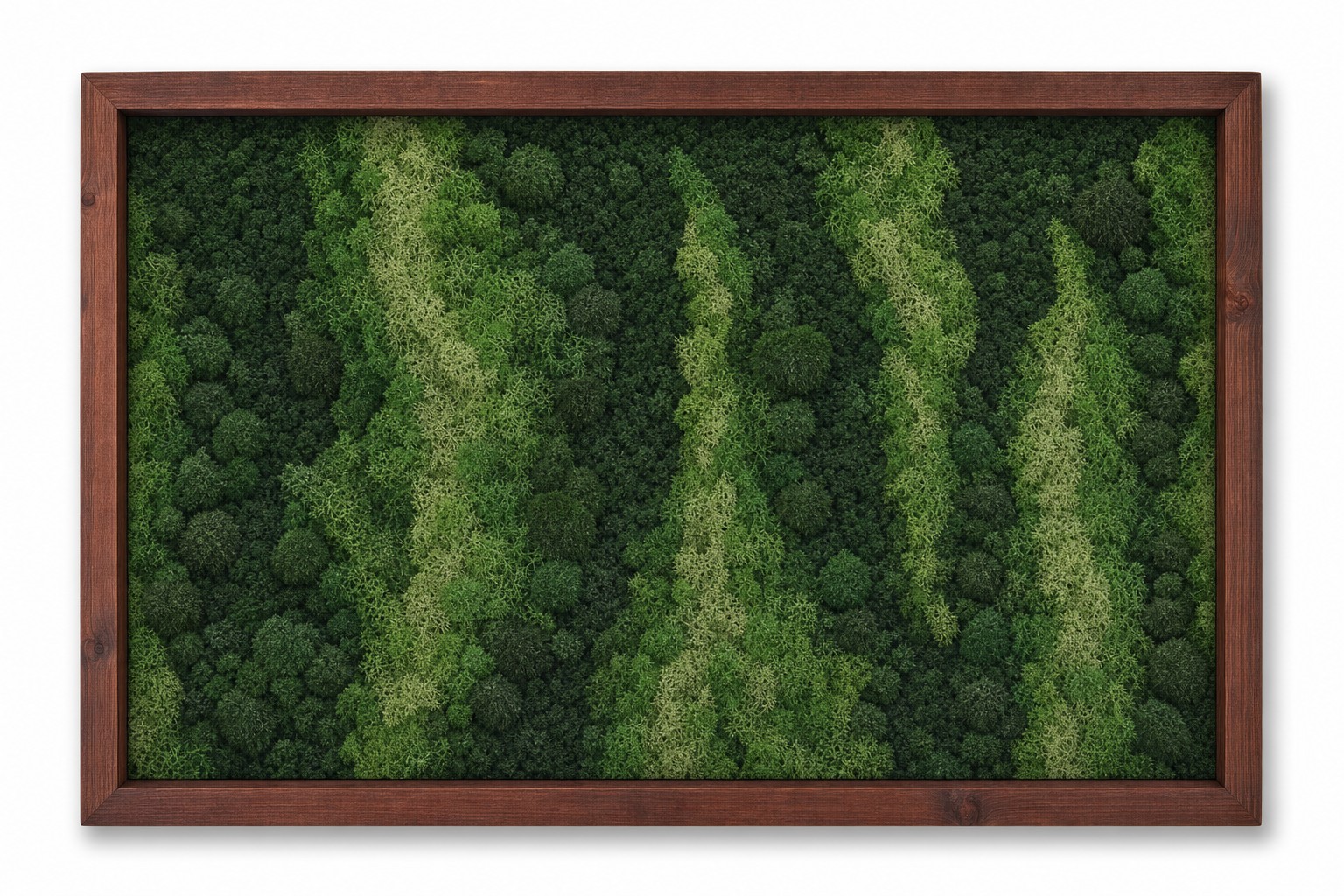 Aurora No. 1 thumbnail 3
