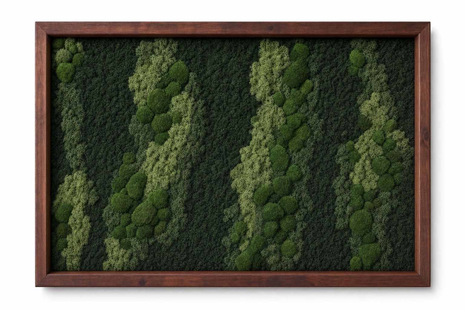 Aurora No. 4 thumbnail 3