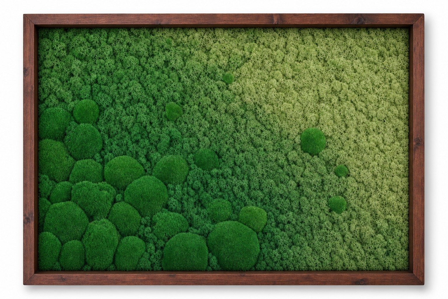 Haze I thumbnail 3