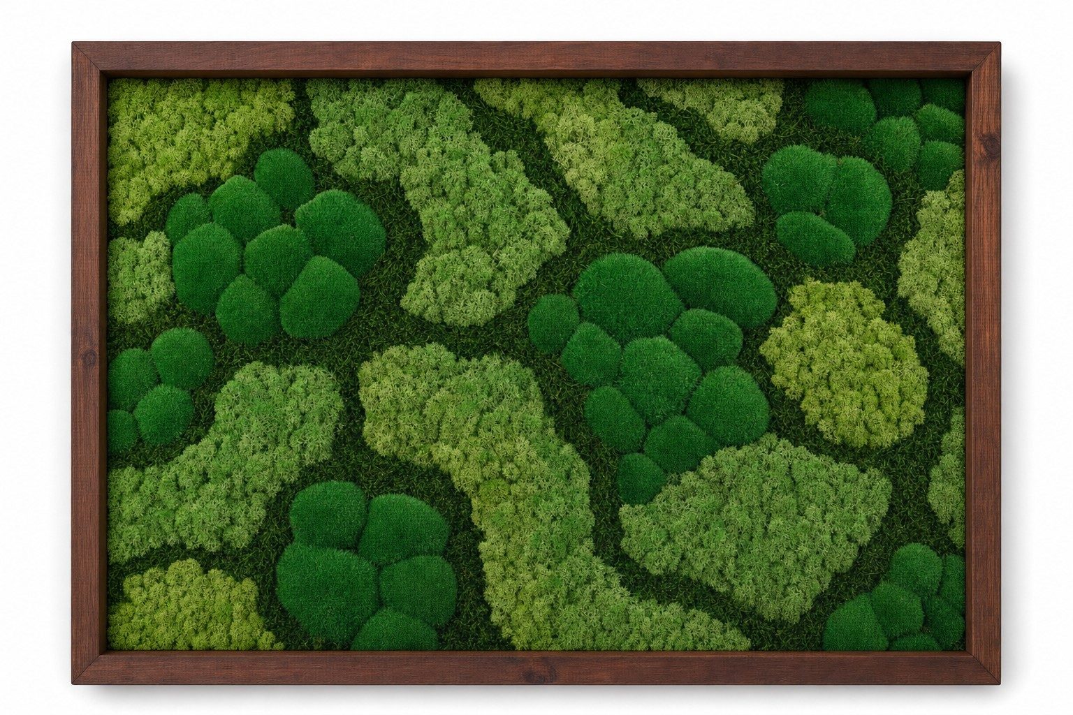 Lichen I thumbnail 3