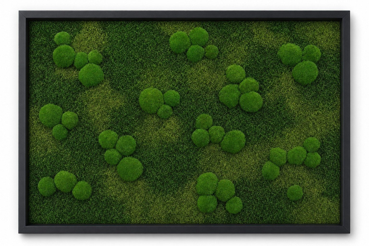 Meadow No. 1
