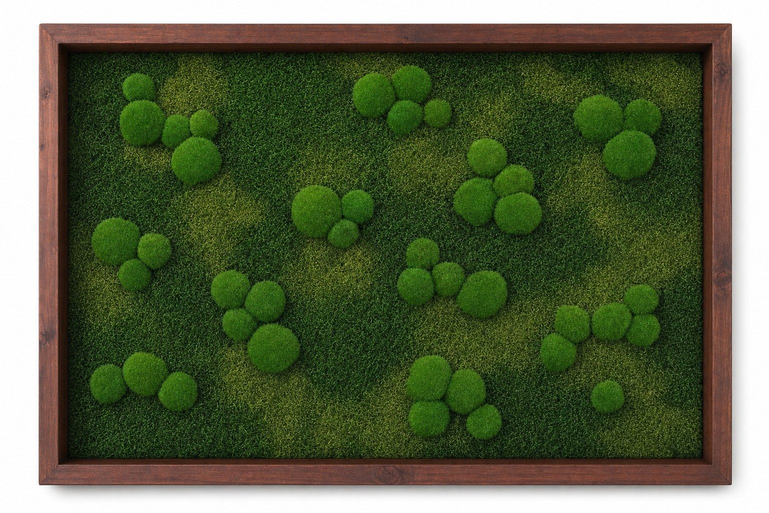Meadow I thumbnail 3