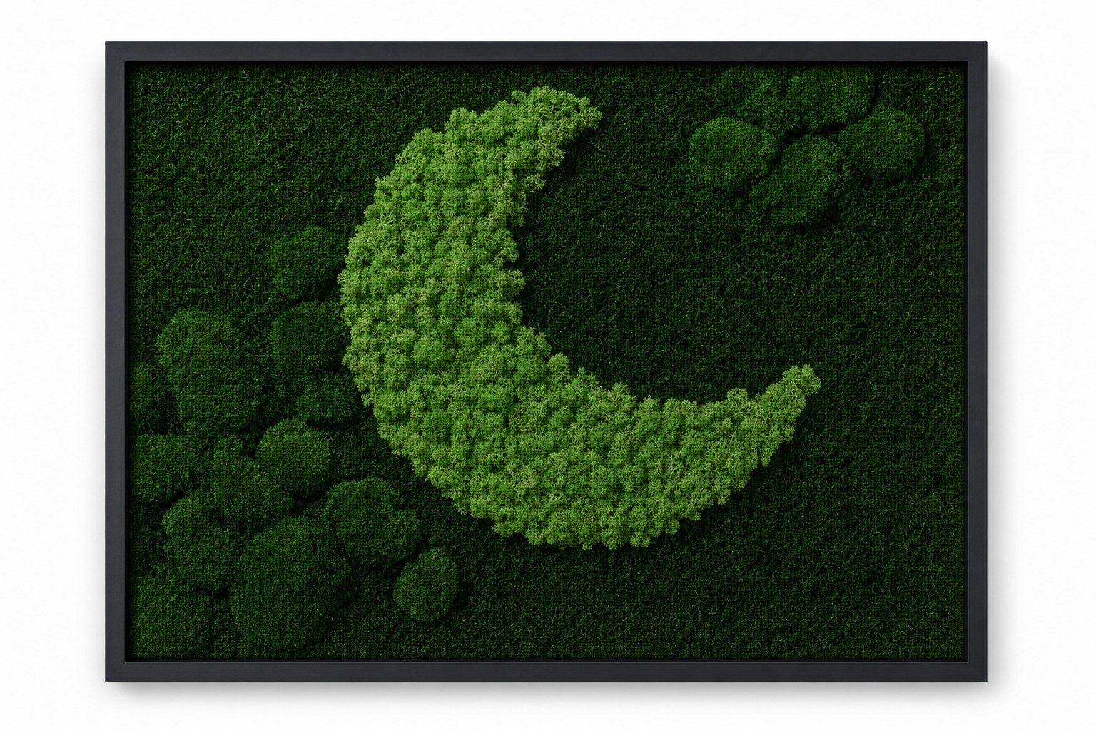 Mond No. 1