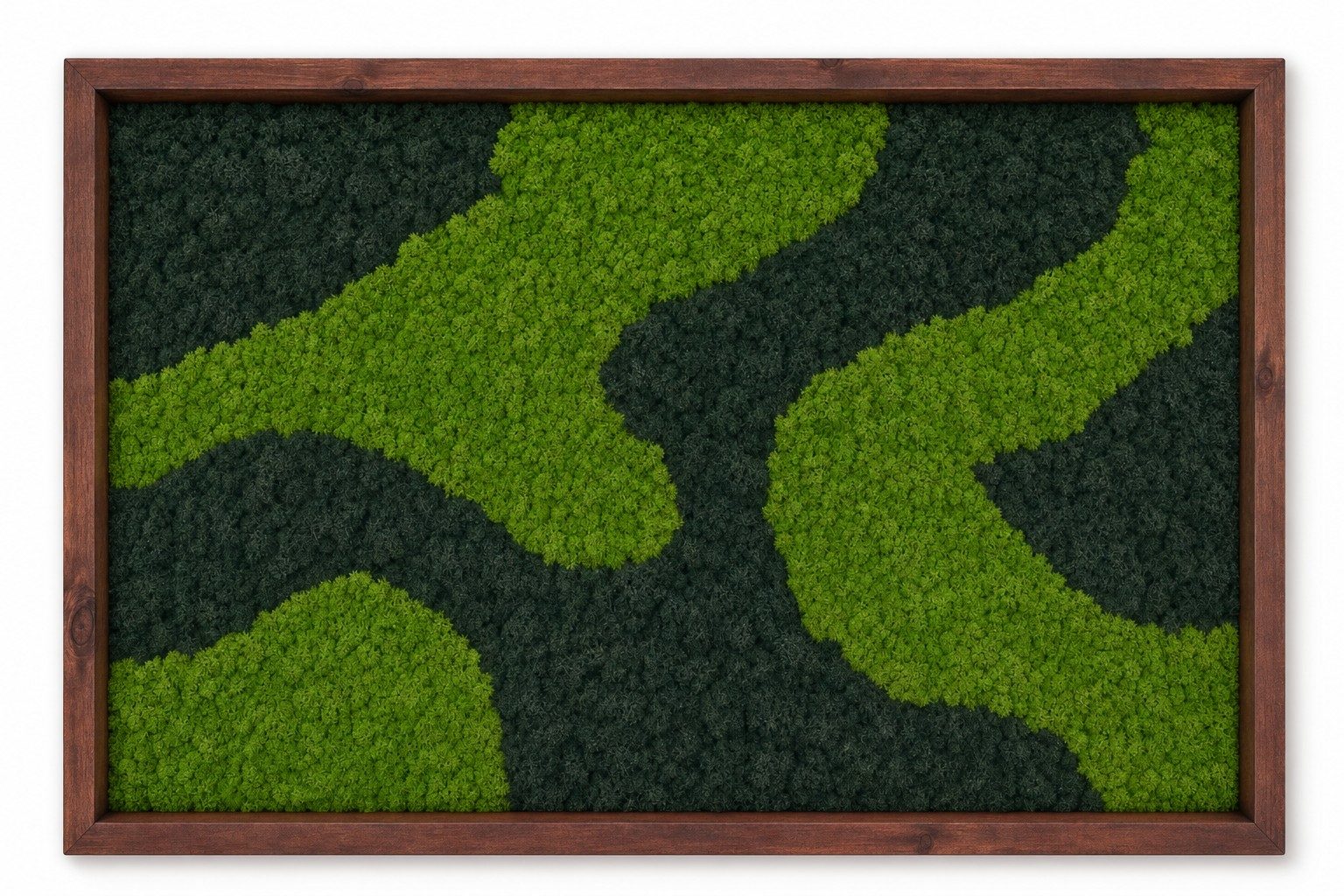 Moor No. 1 Vorschaubild 3