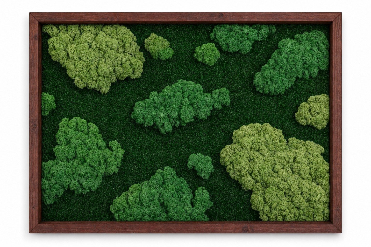Nimbus III thumbnail 3
