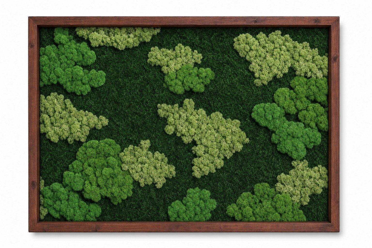 Nimbus IV thumbnail 3