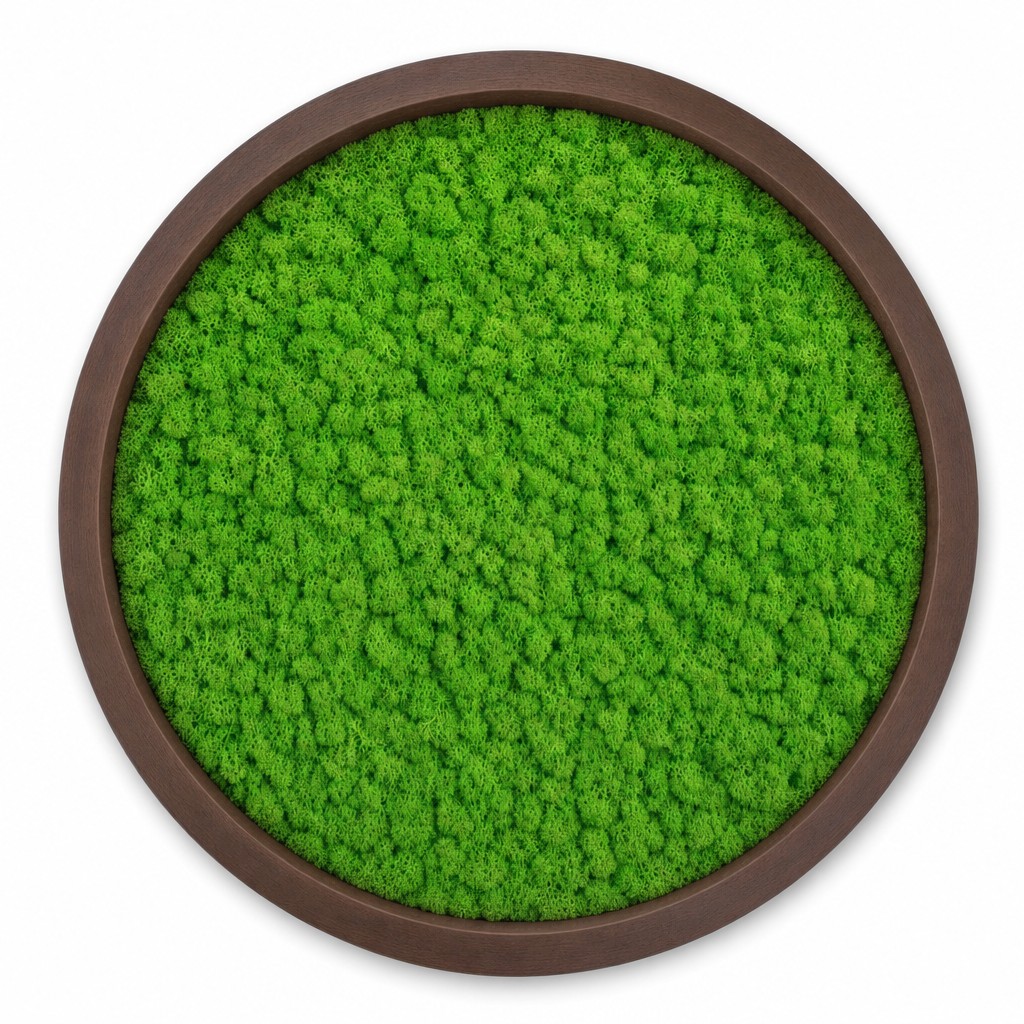 Tundra Spring Circle thumbnail 3
