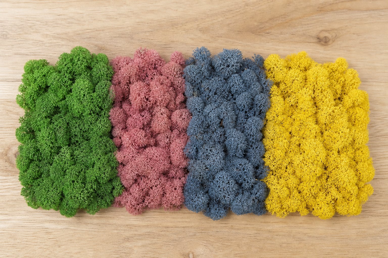 Palette of preserved moss colours