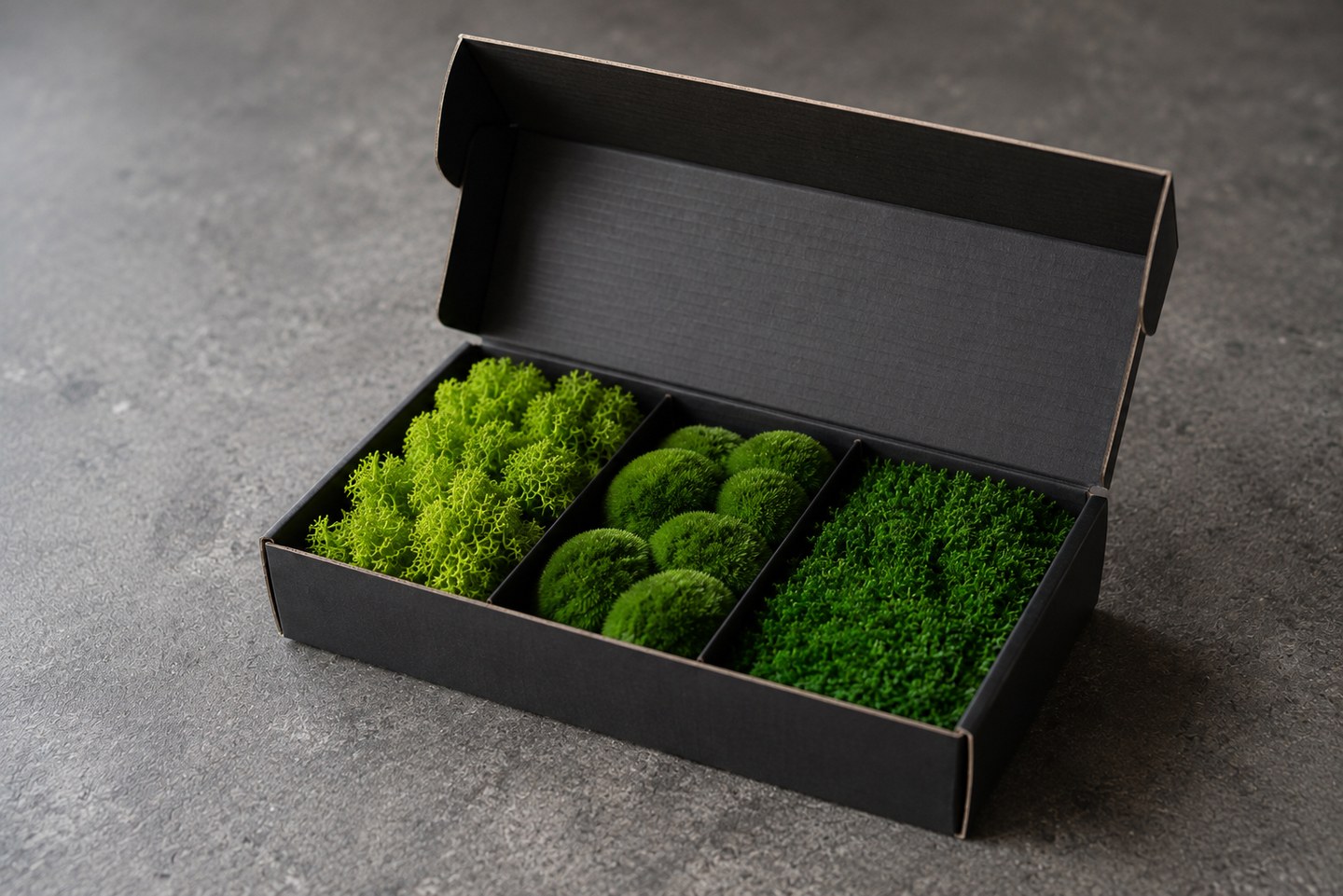 The moss sample set — three preserved moss types in greens